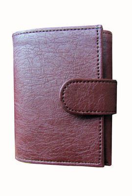 

Poland Boys Brown Artificial Leather Wallet(9 Card Slots)