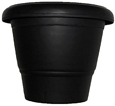 

Minerva Naturals 10'' pot with suitable bottom tray black color(SET OF 05 NOS) Plant Container Set(Pack of 5, Plastic)