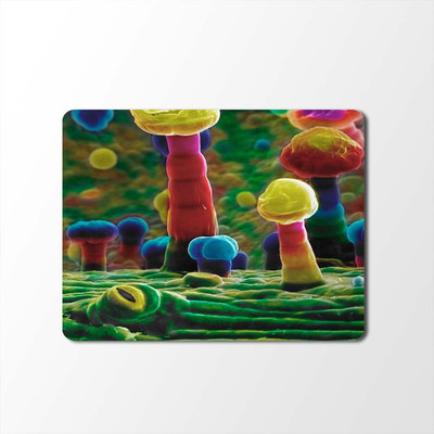 

100yellow Mouse Pad | Abstract Mouse Pad | Designer High Quality Waterproof Coating Gaming Mouse Pad /Mat with Smooth Surfacemp-36 Mousepad(Multicolor)