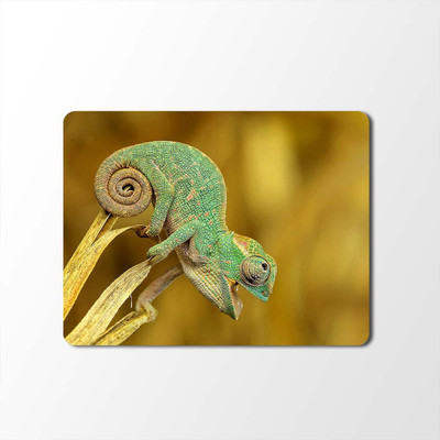 

100yellow Mouse Pad | Animal Print Designer Mouse Pad | High Quality Waterproof Coating Gaming Mouse Pad With Black Basemp-75 Mousepad(Multicolor)