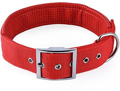 

Foodie Puppies Dog Collar & Leash(, Red