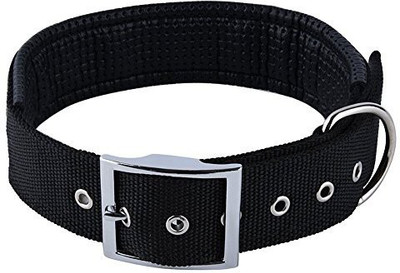 

Foodie Puppies Dog Collar & Leash(, Black