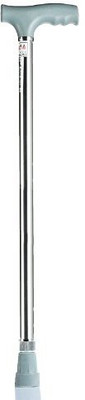 

MCP WALK SLVR01 Walking Stick