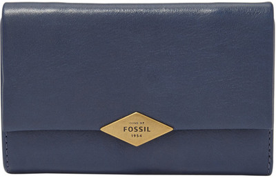 

Fossil Blue Clutch