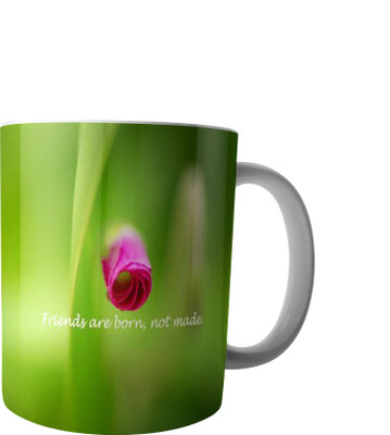 

RD Creations Specially designed Gift For a Best Friend from a Friend PWMFD1125 Ceramic Mug(300 ml), Multicolor