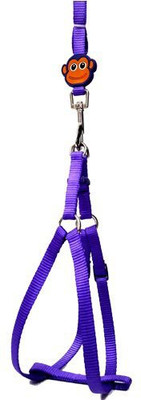 

pet centre 1654001 Dog & Cat Harness & Leash(, Purple