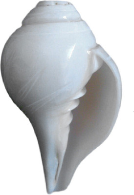 

Divine Temples Flower Design Blowing Shankh Blowing Shankh(White)
