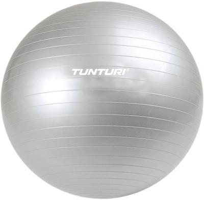 

Tunturi Aerobic Gym Ball, Silver