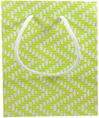 

PapertoBag Printed Party Bag(Green, Pack of 20)
