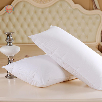 Sureness Foam Solid Bed/Sleeping Pillow Pack of 2(White)