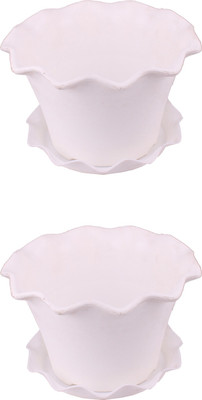 

Garden's Need Orchid Pot With Drip Tray Plant Container Set(Pack of 2, Plastic)