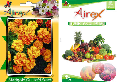 Airex Marigold Gul Jafri Seed(20 per packet)