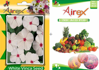

Airex White Vinca Seed(20 per packet)