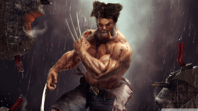 

wolverine artwork wallpaper on quality paper 13x19 Paper Print(19 inch X 13 inch, Rolled)