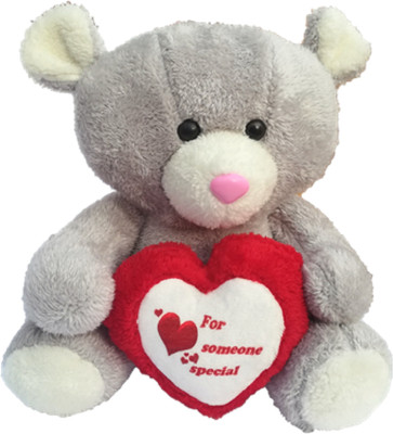 

nsk soft toys Teddy bear 27 cms - 27 cm(Grey)