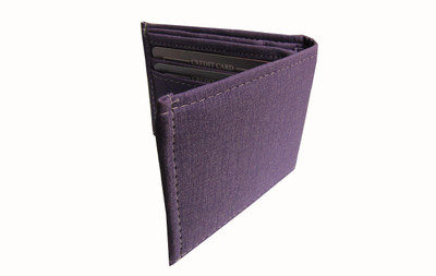 

Poland Boys Blue Canvas, Denim Wallet(4 Card Slots)