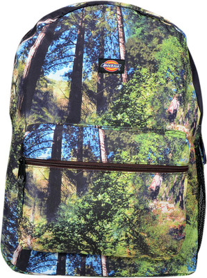 

Dickies Big sur forest 21 L Backpack(Multicolor)
