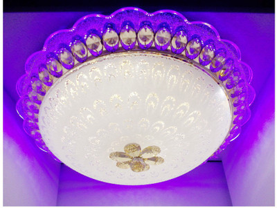 Peacock Chandelier Ceiling Lamp