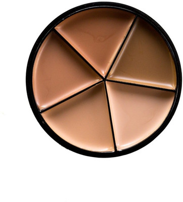 

Make up for Life Professional 5 color Concealer Corrector Foundation(Natural Brown)