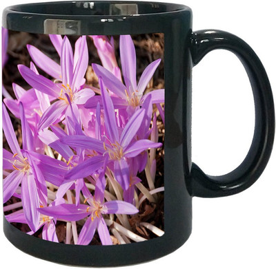 

Arkist brooklyn botanic garden flowers x Ceramic Mug(340 ml), Multicolor