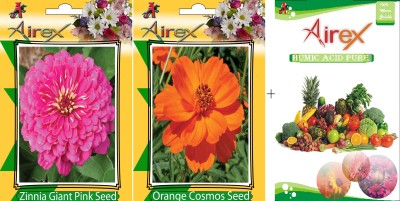 Airex Pink Zinnia, Orange Cosmos Seed(20 per packet)