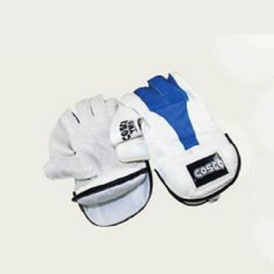 

Cosco Test Wicket Keeping Gloves (L, Multicolor), White