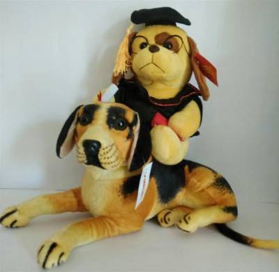 

ZICA DOG & ADV COMBO A - 60 cm(Multicolor)