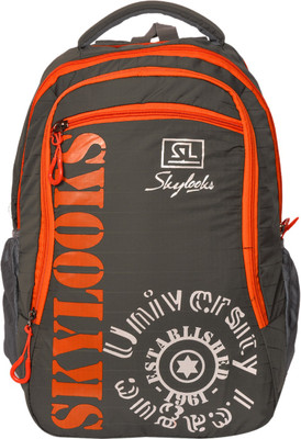 

Skylocks Trendybackpack 25 L Backpack(Grey)