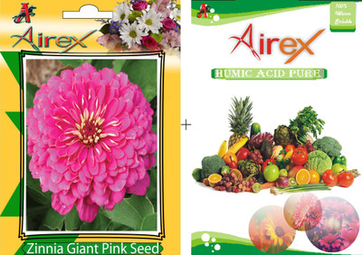 

Airex Pink Zinnia Seed(20 per packet)