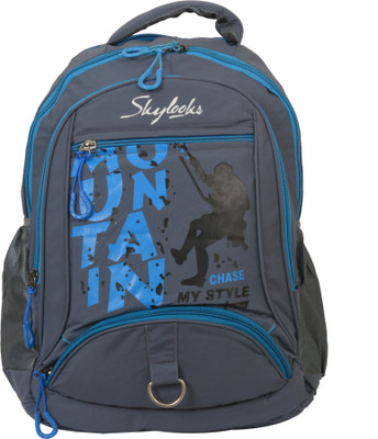 

Skylocks Trendybackpack 25 L Backpack(Grey)