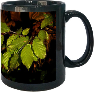 

Arkist beech tree leaves Black Ceramic Mug(340 ml), Multicolor