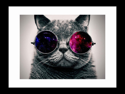 

ravgar Cat Thug life Canvas Painting Wall Art [16 x 20 inch] Framed Cotton Fine Grain Primed Canvas Board (Set of 1)(Multicolor)