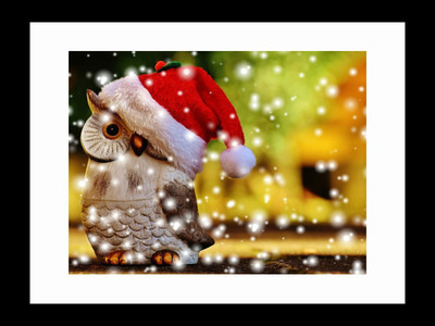 

ravgar Christmas Owl in Snowfall Canvas Painting Wall Art [16 x 20 inch] Framed Cotton Fine Grain Primed Canvas Board (Set of 1)(Multicolor)
