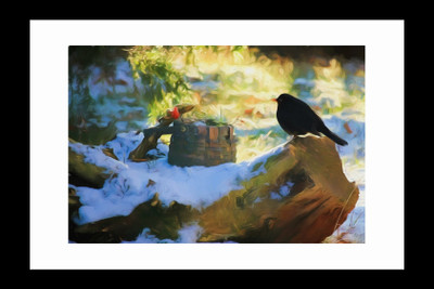 

ravgar Bird sitting on a Tree CANVAS Wall Painitng, Art Piece, Matte Finish (16 X 20 inch) FRAMED Cotton Fine Grain Primed Canvas Board (Set of 1)(Multicolor)