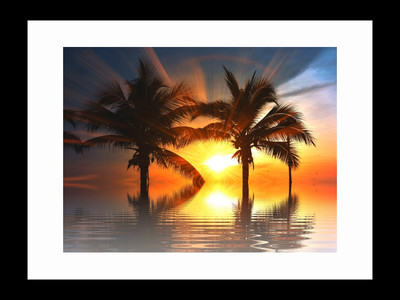 

ravgar Sunset Nature View Trees Sea Canvas Painting Wall Art [16 x 20 inch] Framed Cotton Fine Grain Primed Canvas Board (Set of 1)(Multicolor)