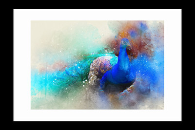 

ravgar Peacock Beautiful Scenery Canvas Painting Wall Art [16 x 20 inch] Framed Cotton Fine Grain Primed Canvas Board (Set of 1)(Multicolor)