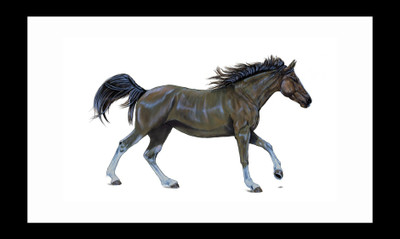 

ravgar Mustang Walk CANVAS Wall Painitng, Art Piece, Matte texture ( 16 X 20 inch) FRAMED Cotton Fine Grain Primed Canvas Board (Set of 1)(Multicolor)