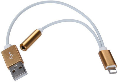 

BB4 8 Pin Lighting To 3.5MM Headphone Earphone Jack Cable With USB Charging Charger Cable USB Adapter(GOLDEN)