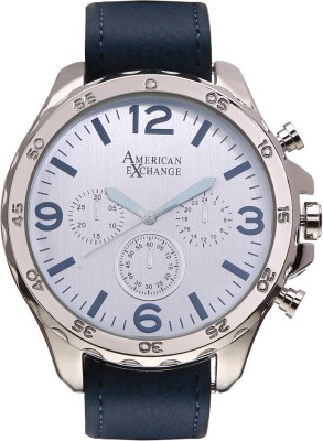 American Exchange AMIN5333S482-007 American Interchangeables Watch  - For Men   Watches  (American Exchange)