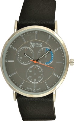 American Exchange AMIN5160S100-078 American Interchangeables Watch  - For Men   Watches  (American Exchange)