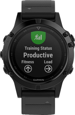 

Garmin Fenix 5 Sapphire Smartwatch(Black Strap Regular)