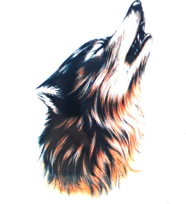 

Gemmas Fashion(Howling Wolf)