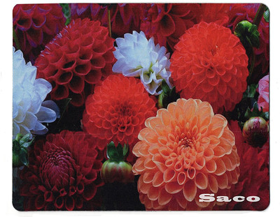 

Saco Design Speed Mouse Mat Printed Photo Scene Natural Rubber Gaming Mouse Pad Non Slip Base Mousepad Mousepad(Natural)
