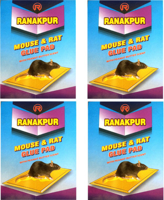

Ranakpur Mouse & Rat Trap with Peanut Butter Scent (Rat Catcher without Position) (4 Pcs) Live Trap