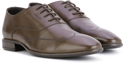 

Lee Cooper Leather Lace Up Shoes For Men(Brown