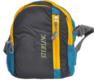 

Sterling Men & Women Casual Black, Blue Canvas Sling Bag