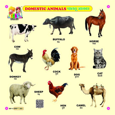 

Aadi Publications Montessori Educational Learning Toys Wooden Domestic Animals Puzzle(Multicolor)