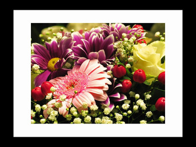 

ravgar Bouquet of beautiful flowers Canvas Painting Wall Art [16 x 20 inch] Framed Cotton Fine Grain Primed Canvas Board (Set of 1)(Multicolor)