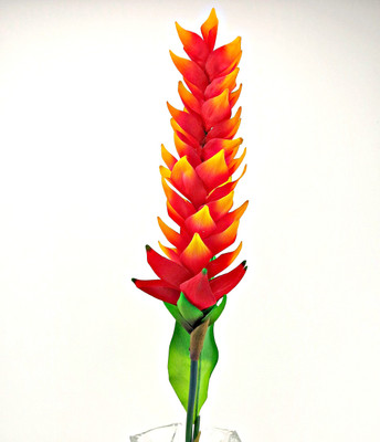 

Importwala Orange Wild Flower Artificial Flower(38 inch, Pack of 1)