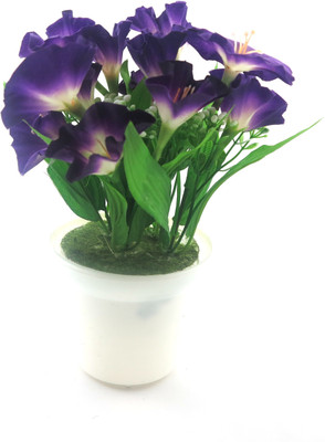 

Importwala Blue Assorted Artificial Flower with Pot(7 inch, Pack of 1)